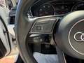 Audi A4 A4 2.0 TDI 150 CV ultra Sport Bianco - thumbnail 15