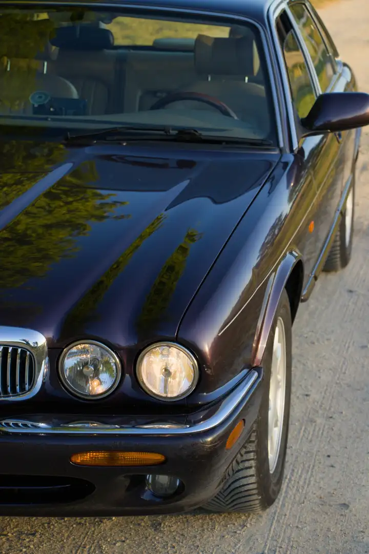 Jaguar XJ8 Sovereign - 2