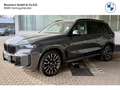 BMW X5 xDrive 40d M Sport Pro AHK Pano 2-Achs-Luftfederun Gris - thumbnail 1