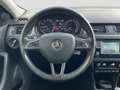 Skoda 1.2SI Joy Green tec PDC Climatr. Sitzh. Bruin - thumbnail 9