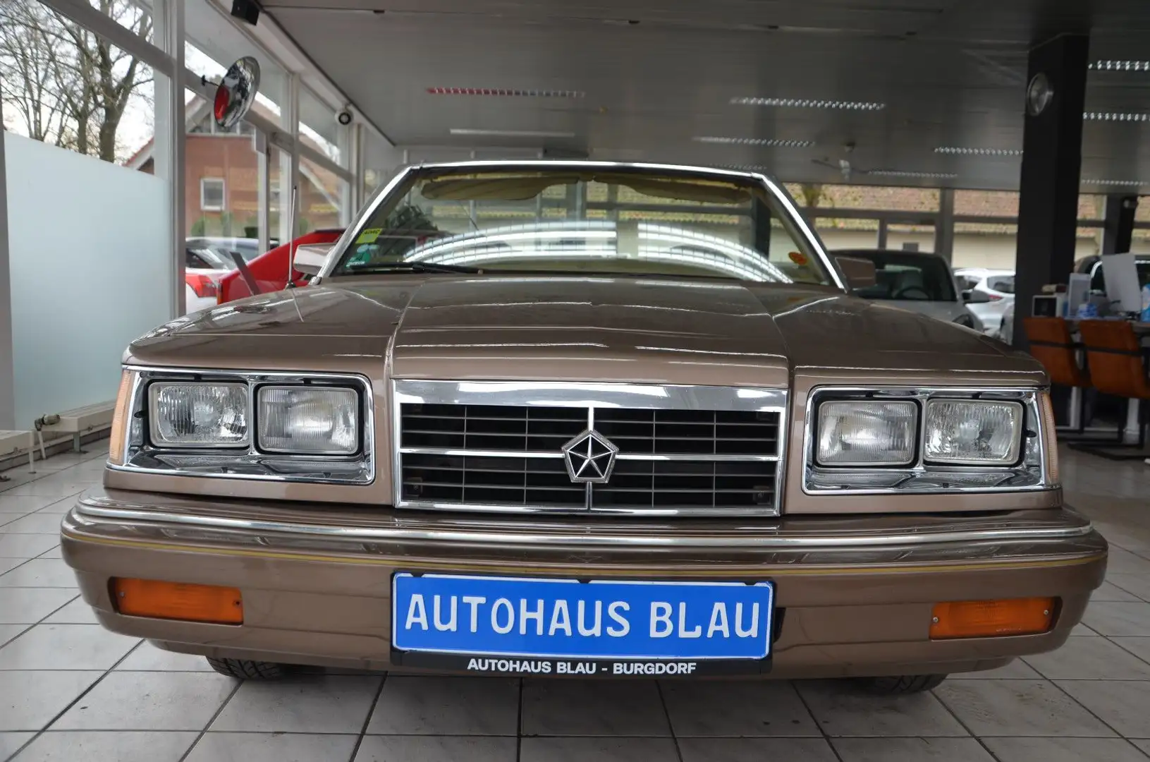 Dodge 600 / Le Baron Cabrio *AUTOMATIK*LEDER*E-VERDECK Oro - 2