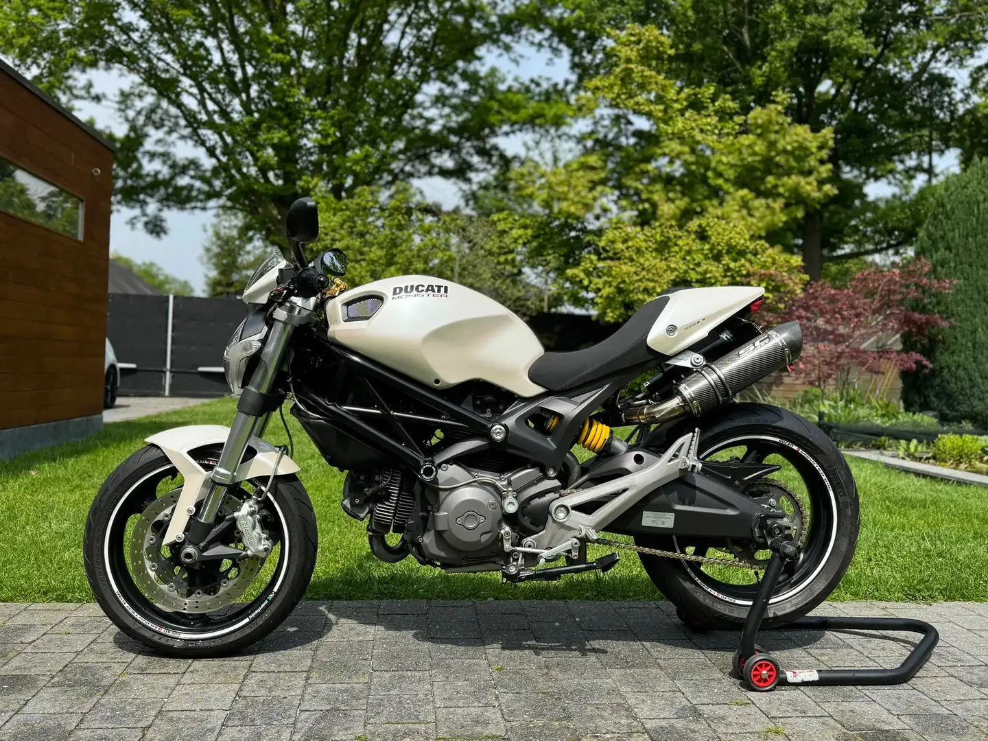 Ducati Monster 696 Blanc - 1