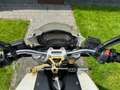 Ducati Monster 696 Blanc - thumbnail 6