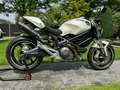 Ducati Monster 696 Blanc - thumbnail 11