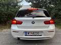 BMW 116 116d Sport Line Aut. Sport Line Weiß - thumbnail 4