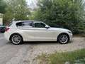 BMW 116 116d Sport Line Aut. Sport Line Weiß - thumbnail 9