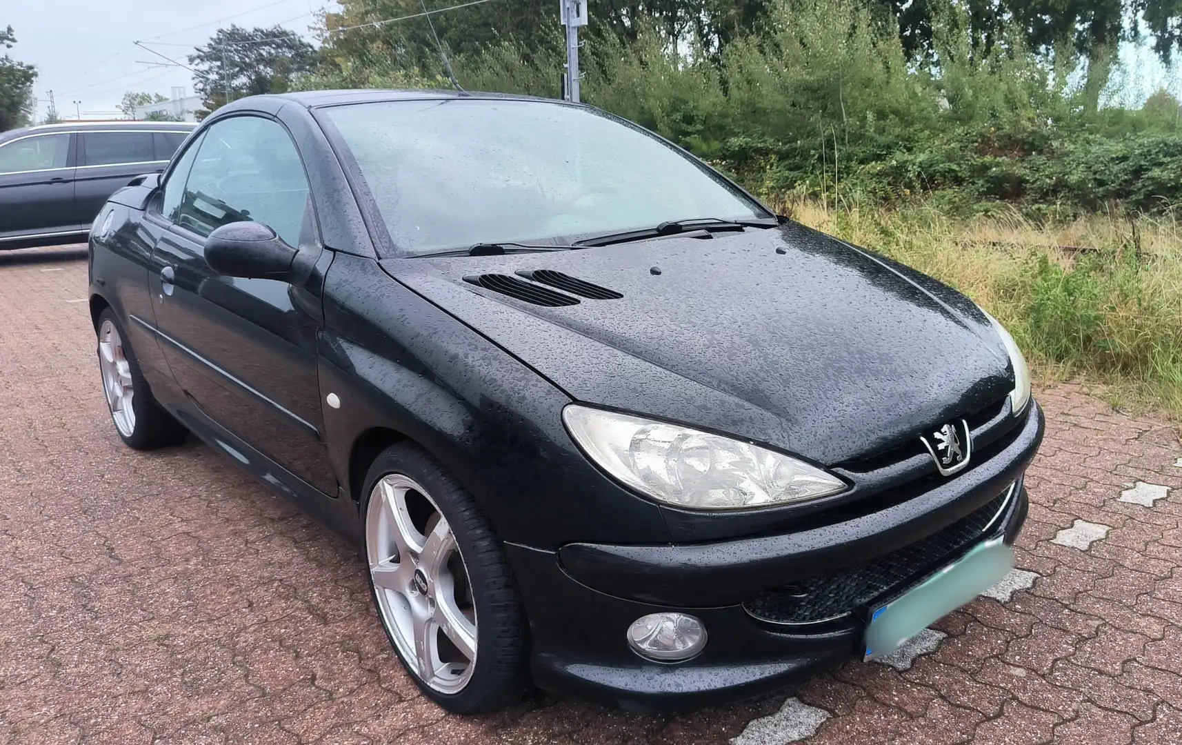 Peugeot 206 CC 110 Roland Garros - 1