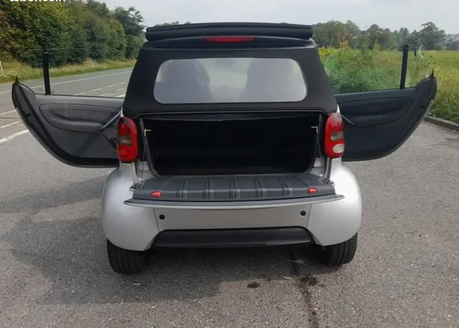 smart forTwo Fortwo Cabrio 0.8 cdi Passion Softouch Zilver - 2