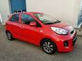 Kia Picanto Spirit Rot - thumbnail 3