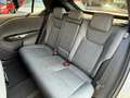 Lexus RZ Full Electric 450e Design SEMESTRALE Grigio - thumbnail 11