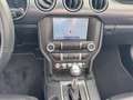 Ford Mustang 5.0 Ti-VCT V8 Convertible GT (EURO 6d) G Bleu - thumbnail 12