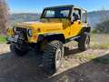 Jeep Wrangler Hard Top 4.0 Sport c/CL Yellow - thumbnail 1