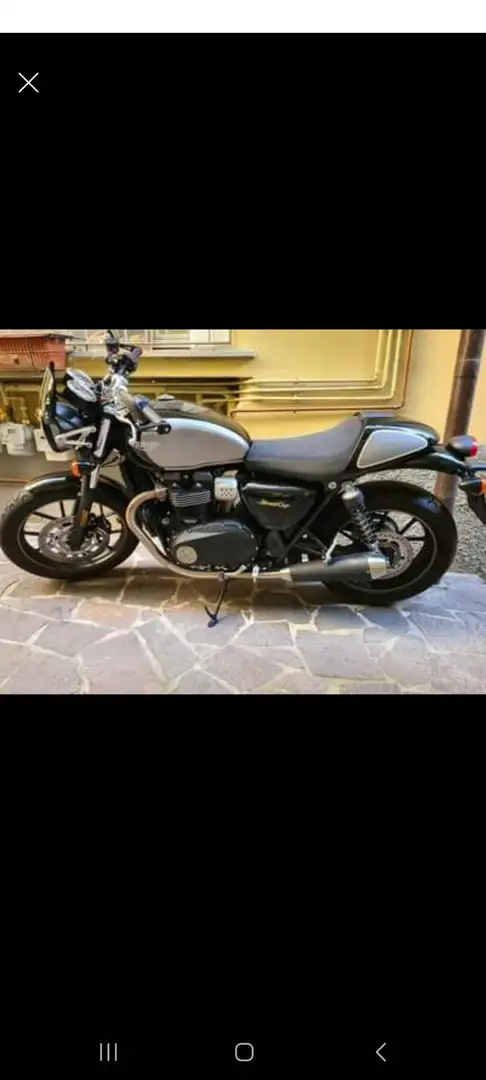 Triumph Street Cup Gris - 1