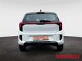 Kia Picanto Vision 1.0 Automatik Navi Kamera Gewerbe SHZ Lenkr Weiß - thumbnail 7