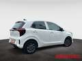 Kia Picanto Vision 1.0 Automatik Navi Kamera Gewerbe SHZ Lenkr Weiß - thumbnail 8