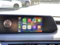 Lexus UX 250h Business Line Pro KEYLESS CARPLAY NAVI ADAPTIVE CR Wit - thumbnail 22