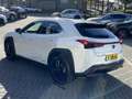 Lexus UX 250h Business Line Pro KEYLESS CARPLAY NAVI ADAPTIVE CR Bianco - thumbnail 5