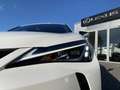 Lexus UX 250h Business Line Pro KEYLESS CARPLAY NAVI ADAPTIVE CR Bianco - thumbnail 9