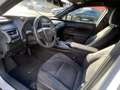 Lexus UX 250h Business Line Pro KEYLESS CARPLAY NAVI ADAPTIVE CR Bianco - thumbnail 11