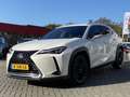 Lexus UX 250h Business Line Pro KEYLESS CARPLAY NAVI ADAPTIVE CR Bianco - thumbnail 7
