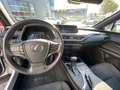 Lexus UX 250h Business Line Pro KEYLESS CARPLAY NAVI ADAPTIVE CR Bianco - thumbnail 15