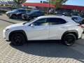 Lexus UX 250h Business Line Pro KEYLESS CARPLAY NAVI ADAPTIVE CR Bianco - thumbnail 6