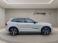 Volvo XC60 B5 AWD Plus Dark LUFT PANO HUD LM21 360° LED Weiß - thumbnail 5