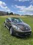 Volkswagen Beetle Cabrio 2,0 TDI 60s - thumbnail 12