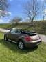 Volkswagen Beetle Cabrio 2,0 TDI 60s - thumbnail 10