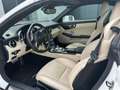 Mercedes-Benz MERCEDES-BENZ Clase SLC Descapotable  Automático Blanco - thumbnail 5