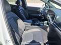 Kia Sportage 1.6 T-GDi MHEV 180CV Tech 4x4 DCT Blanco - thumbnail 7