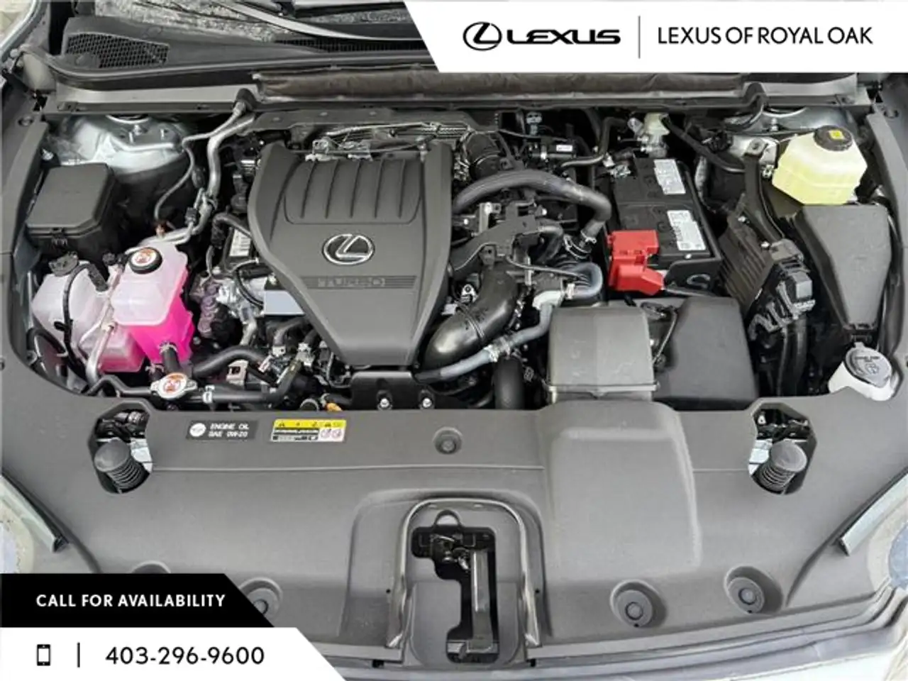 Lexus RX photo Lexus RX