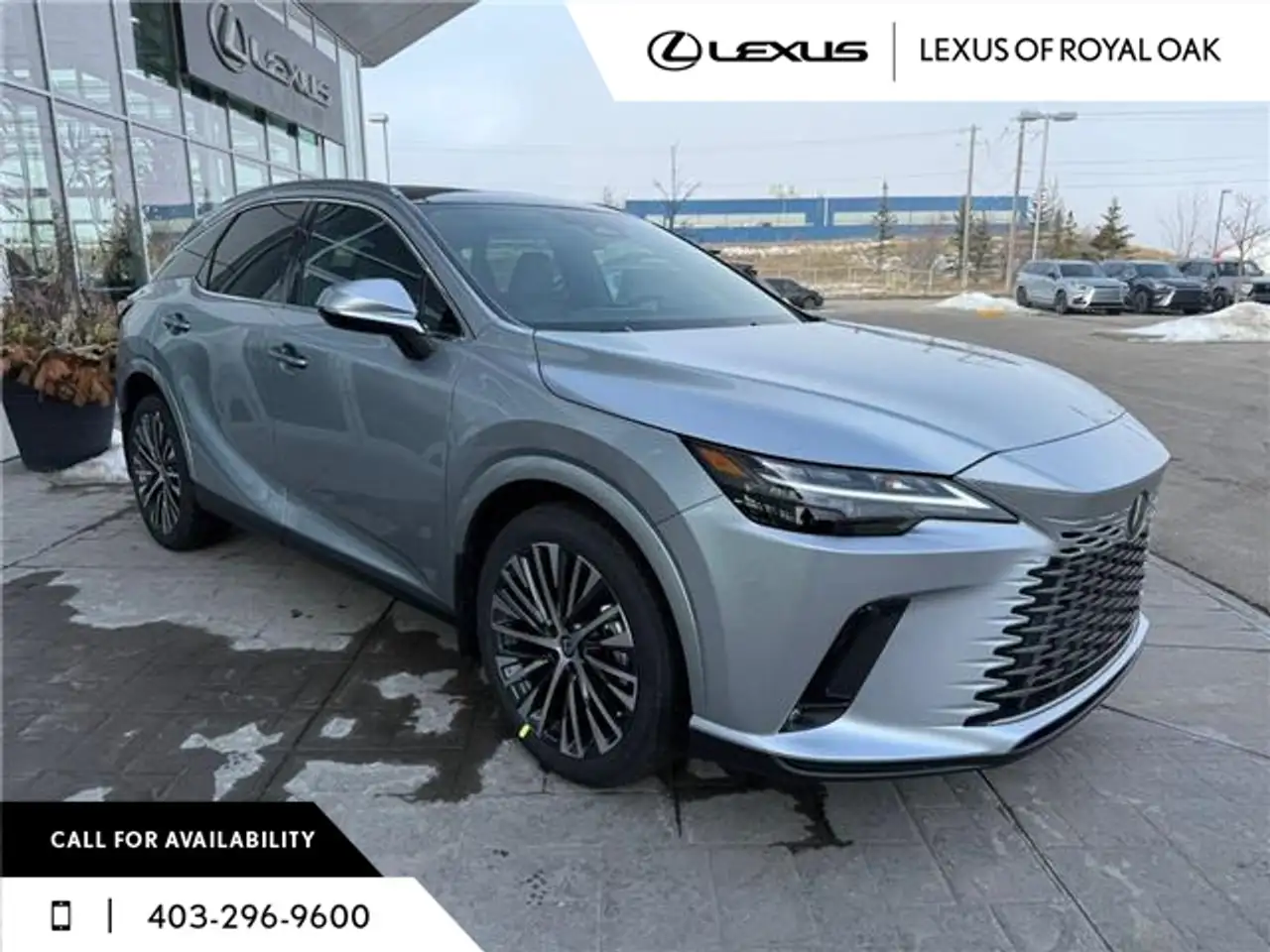 Lexus RX photo Lexus RX