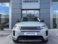 Land Rover Range Rover Evoque EVOQUE 2.0d i4 mhev SE awd 163cv auto Beige - thumbnail 8
