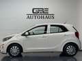Kia Picanto Edition 7*Navi*Kam*Klima*Shz*Lhz Weiß - thumbnail 10