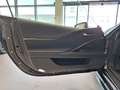 Lexus LC Convertible 500 Sport**Traumhafte Ausstattung** Gris - thumbnail 9