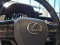 Lexus LC Convertible 500 Sport**Traumhafte Ausstattung** Gris - thumbnail 15