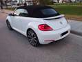 Volkswagen Beetle Beetle Cabrio 1.6TDI 50´s 50´s Blanc - thumbnail 3