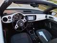 Volkswagen Beetle Beetle Cabrio 1.6TDI 50´s 50´s Blanc - thumbnail 1