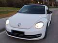 Volkswagen Beetle Beetle Cabrio 1.6TDI 50´s 50´s Blanc - thumbnail 5