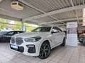 BMW X6 xDrive 30d M Sport Kamera 360 Kamera 21" Weiß - thumbnail 1
