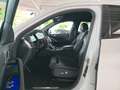 BMW X6 xDrive 30d M Sport Kamera 360 Kamera 21" Weiß - thumbnail 7