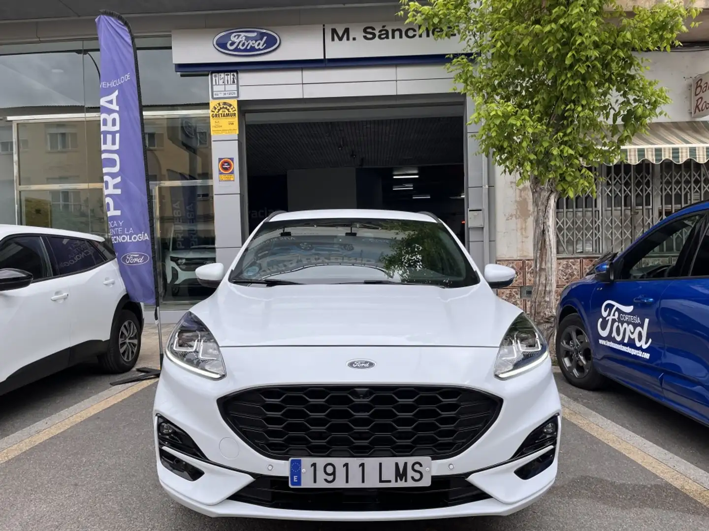 Ford Kuga 1.5 EcoBlue Trend FWD 120 Bianco - 2