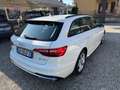 Audi A4 Avant 30 TDI/136 CV S tronic Business Advanced Bianco - thumbnail 8