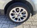 Ford EcoSport Titanium 1.0 EcoBoost 125 Argento - thumbnail 13