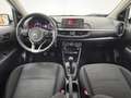 Kia Picanto 1.0 12V GPL 5 porte Urban Bianco - thumbnail 4