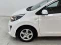 Kia Picanto 1.0 12V GPL 5 porte Urban Bianco - thumbnail 9
