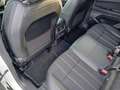 Renault Austral 1.2 E-Tech full hybrid Techno 200cv Bianco - thumbnail 11
