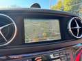 Mercedes-Benz SL 500 AMG /1.HD+Checkh/Logic7/Harm.Kard/Massage Schwarz - thumbnail 37