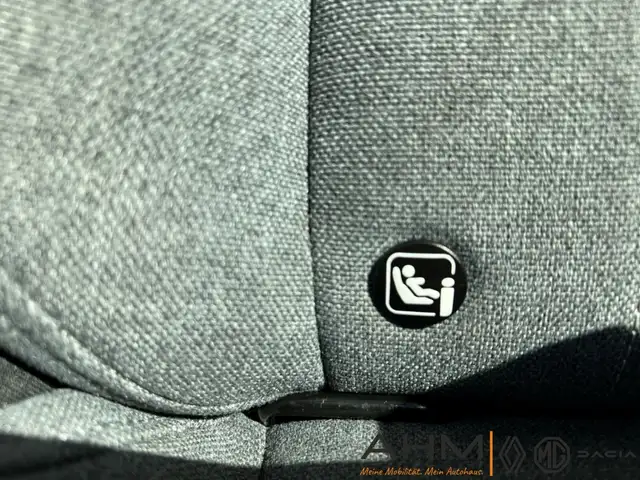 Renault Megane E-Tech view 28